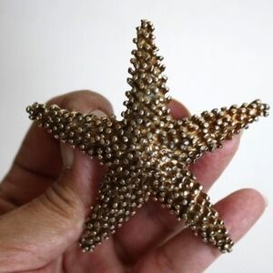 Vintage Starfish Brooch/pendant statement piece sea creatures Beachy Summer